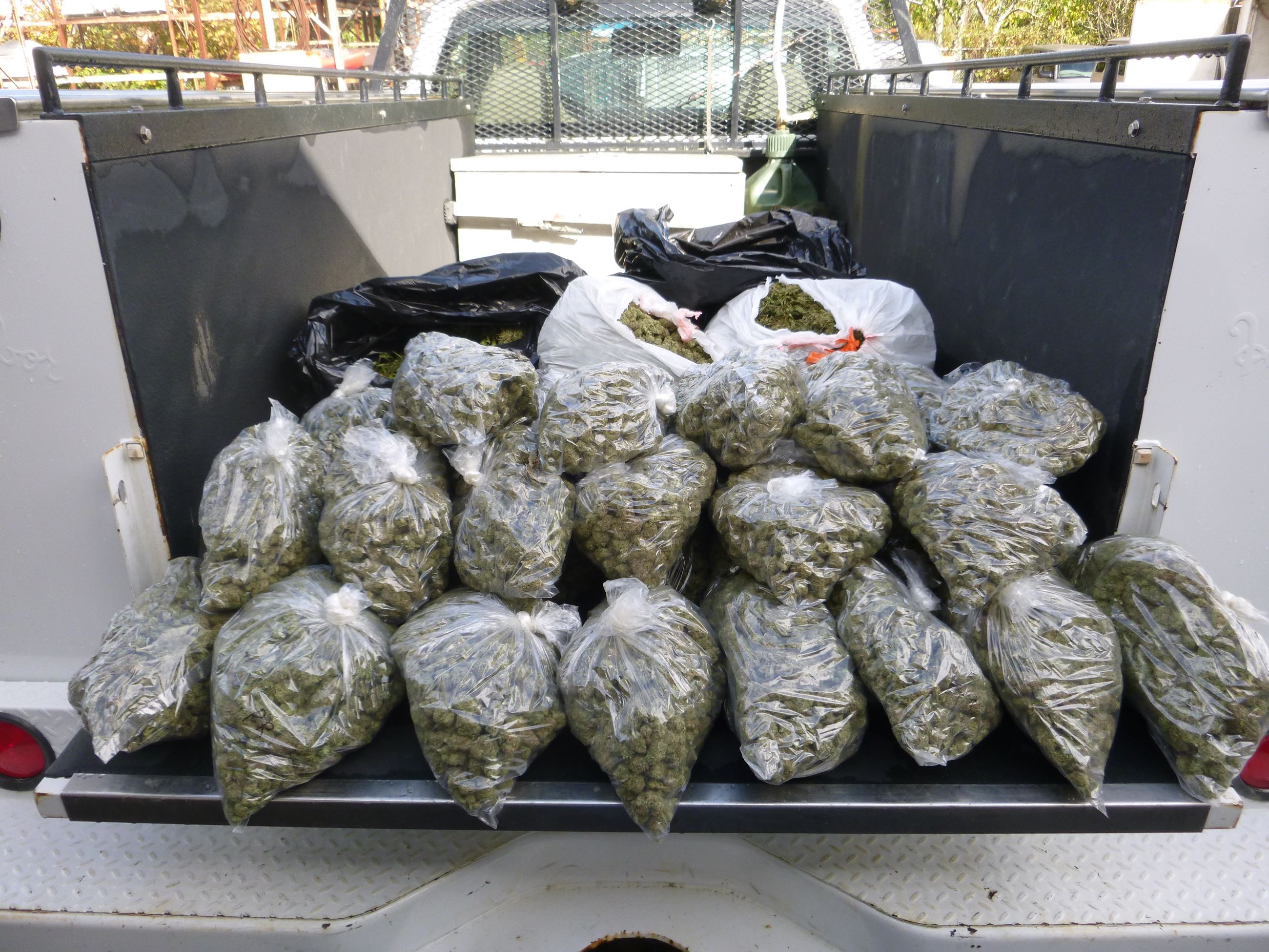 Marijuana Arrests - Cases 201605182 & 201605186